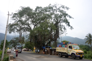 Tamil Nadu/Kerala Border